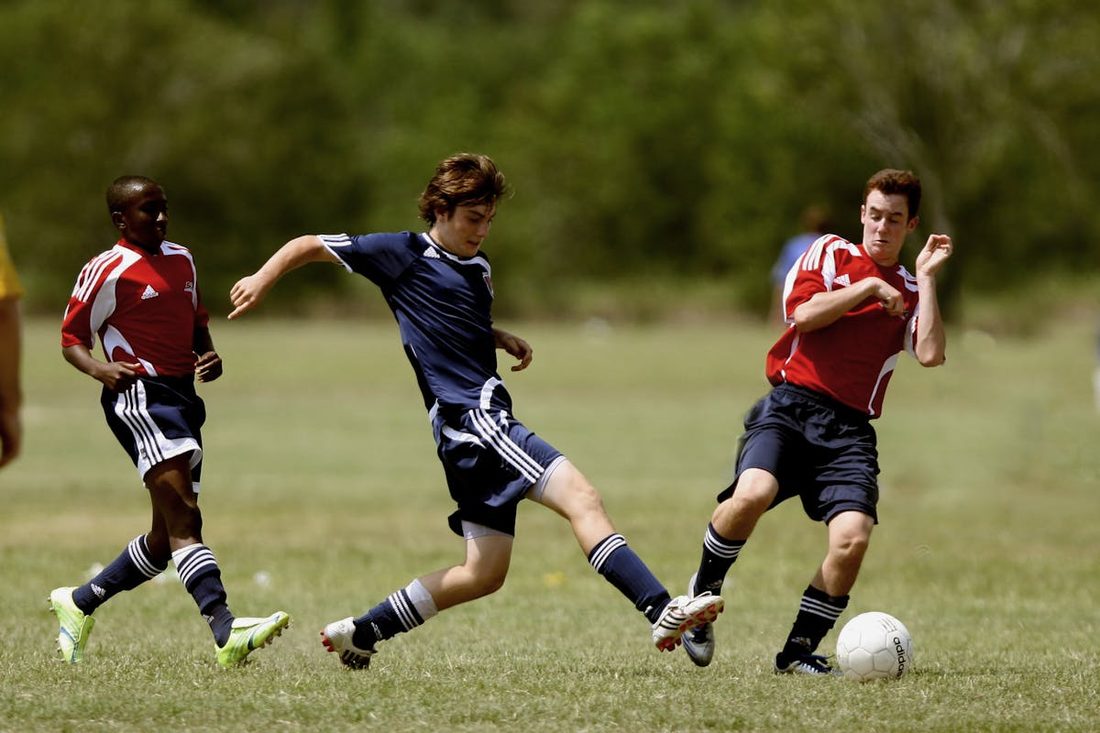 今年会 · 港口赛照（资料示意）